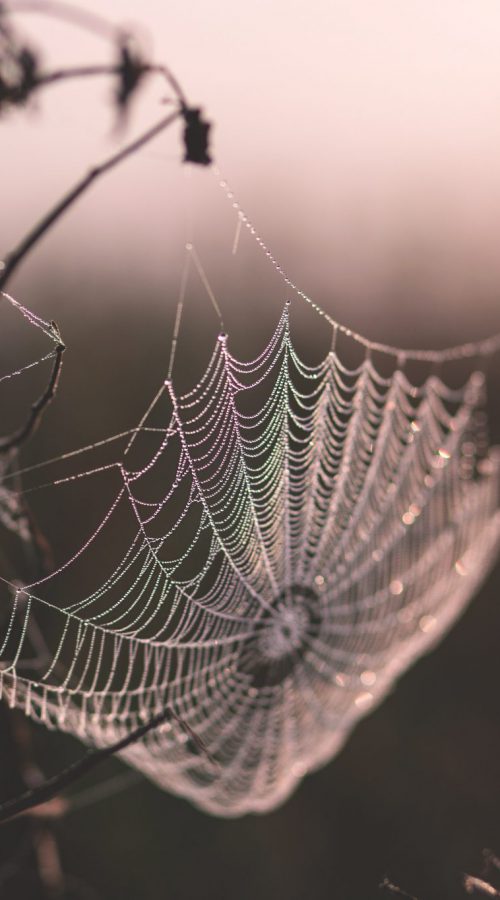 Agence marketing digital