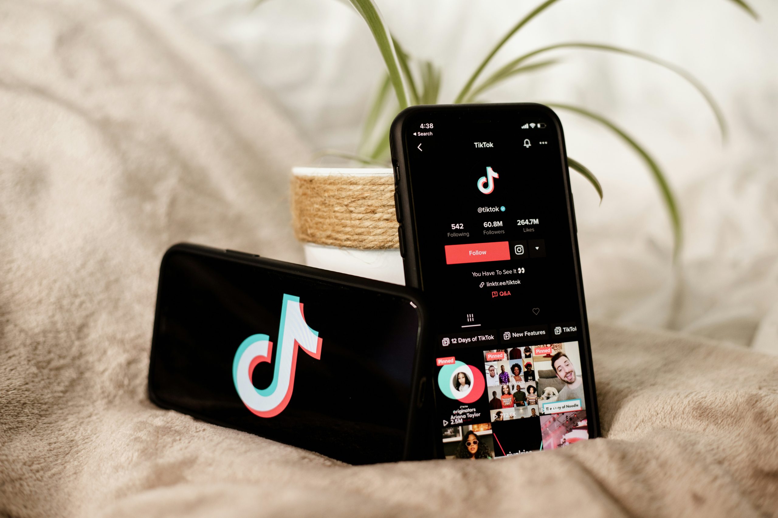 Social Media TikTok