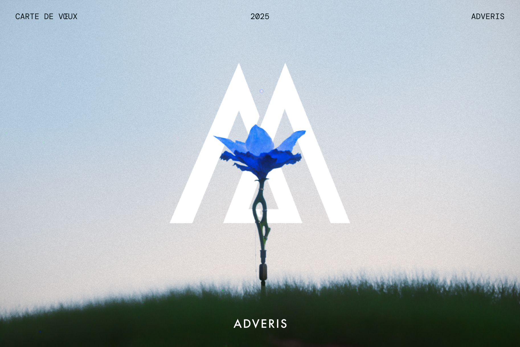 Voeux 2025 - Adveris